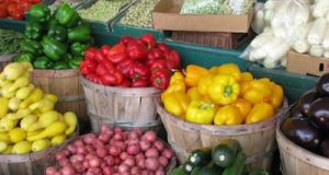 “Corto Amiata”, mercatino a chilometro zero