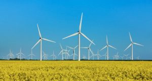 L’energia verde cresce. Ma gli incentivi sono a rischio