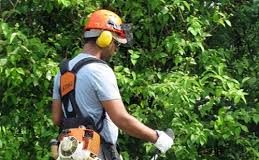 Regione Toscana: Lavori di pubblica utilità, pubblicato il bando.