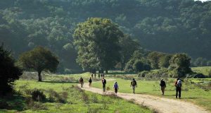 Turismo, approvato il progetto interregionale ‘In it.Inere’