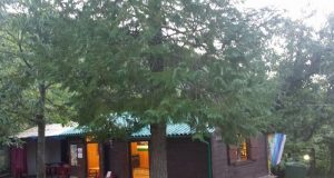 Turismo a Castelnuovo Valdicecina: La festa di Liberazione al via