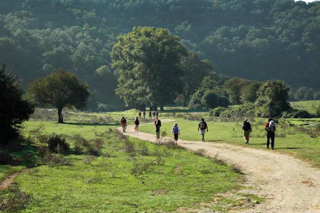 Turismo, approvato il progetto interregionale 'In it.Inere'