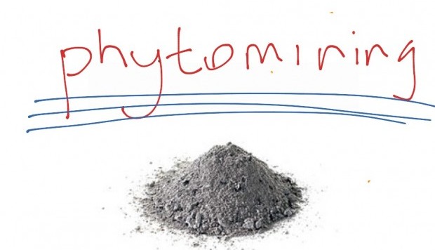 In Germania le piante si trasformano in piccole miniere