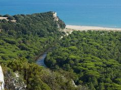 Una delegazione dal Sud Corea al Parco della Maremma per conoscere il sistema di prevenzione e gestione degli incendi boschivi della Regione Toscana