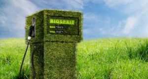 Biocarburanti: direttiva UE fissa nuove regole per il settore