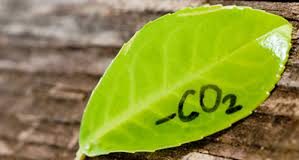 Riforma Certificati Bianchi: un colpo alle rinnovabili e un freno all’efficienza?