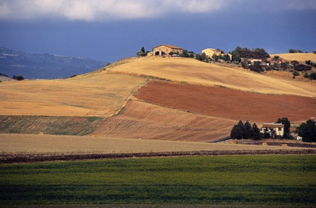Agricoltura, per il PSR complimenti alla Toscana dalla rappresentante della Commissione UE