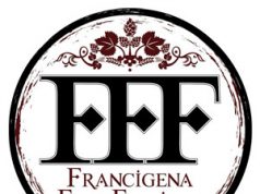 Francigena Folk Festival 2018: musica folk e cultura sulla Via Francigena