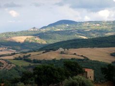 Aree boscate, la Giunta approva la nuova mappatura