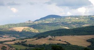 Aree boscate, la Giunta approva la nuova mappatura