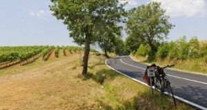Toscana, Umbria e Marche cercano la ‘taglia giusta’.