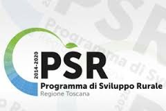 Psr Feasr 2014-2020 Bando misura 19