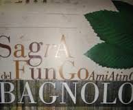 Sabato 10 e domenica 11 ottobre, la sagra del fungo amiatino a Bagnolo