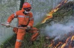 Incendi boschivi, buono il bilancio 2015.