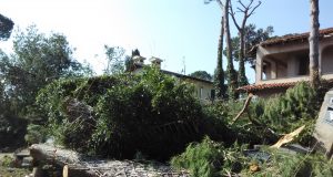 Foreste, 15 milioni di euro per i danni della tempesta di vento del 5 marzo 2015