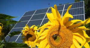 Entro 2040 energie rinnovabili sorpasseranno carbone e gas