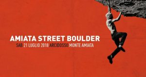 Arcidosso: Amiata street boulder