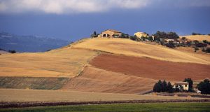 Agricoltura: 25 milioni per il sostegno agli investimenti delle imprese