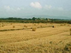 Toscana. Distretto agroalimentare Toscana sud, progetto inviato ufficialmente al Ministero delle Politiche agricole