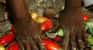 “Così si combatte lavoro nero e caporalato”
