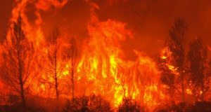 Incendi, scatta il divieto assoluto di accensione fuochi.