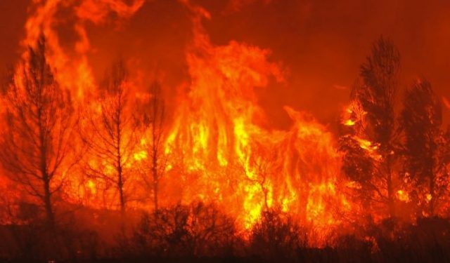 Incendi, scatta il divieto assoluto di accensione fuochi.