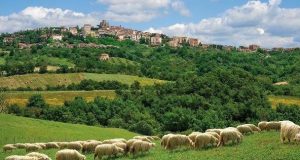 On line “Toscana Ovunque Bella”: i Comuni toscani si raccontano sul web