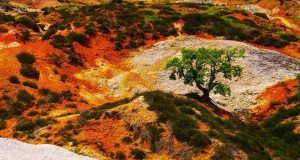 Monterotondo Marittimo: accordo tra Comune e Enel Green Power nuova vita per il Parco delle Biancane