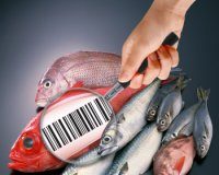 PRAF 2016 Misura B.1.3 az.a: “Tracciabilità dei prodotti, strumenti per l’identificazione del prodotto ittico lungo la filiera”