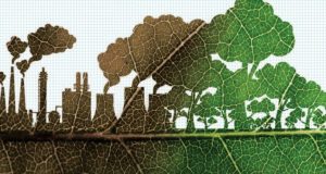 Combattere il climate change è un ottimo investimento