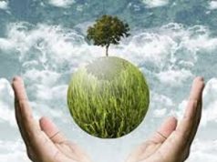 Finanziati tutti i progetti di risparmio ed efficienza energetica presentati dalle imprese