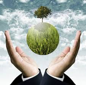 Finanziati tutti i progetti di risparmio ed efficienza energetica presentati dalle imprese