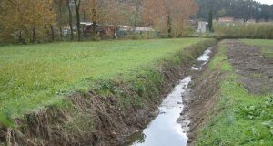 Castel del Piano: Fiumi e fossi puliti grazie all’accordo