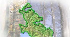 Trail Sacred Forests, Ceccarelli e Ciuoffo: “Grande vetrina per Casentino e Toscana”