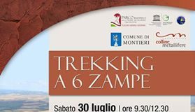 Turismo a Montieri: Trekking a 6 zampe