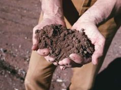 Agricoltura sociale, bando per progetti di inclusione