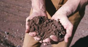 Agricoltura sociale, bando per progetti di inclusione