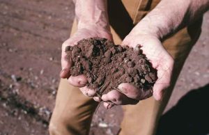 Agricoltura sociale, bando per progetti di inclusione