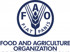 Cooperazione e sviluppo. Possibilità di stage presso la FAO
