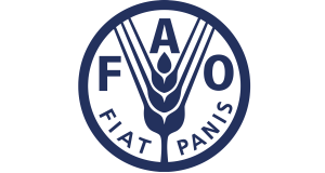 Cooperazione e sviluppo. Possibilità di stage presso la FAO