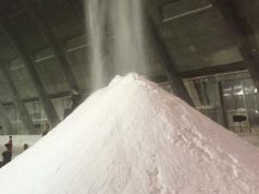 Salina, incontro in Regione sul piano industriale