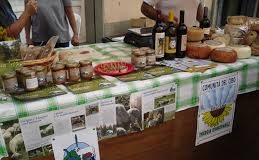 Cibo a energie rinnovabili, a km zero (e gratis!) per gli avventori di Festambiente