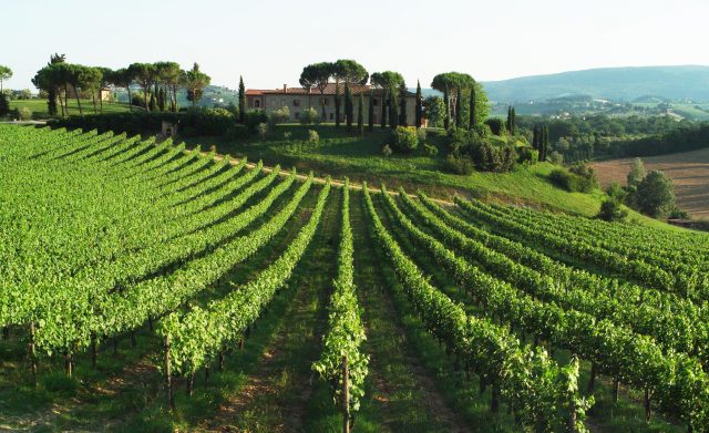 Bando sottomisura 4.1