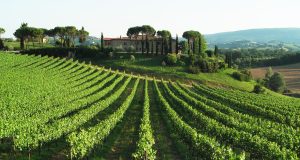 Bando sottomisura 4.1 “Sostegno a investimenti nelle aziende agricole, annualità 2016”