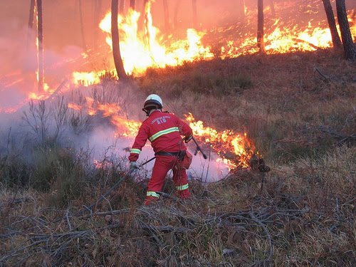 Quindici incendi in Toscana nello scorso fine settimana. Remaschi: