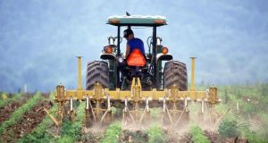 Dalla Regione risorse agli imprenditori agricoli