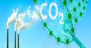 Captazione e recupero di anidride carbonica da fluido geotermico: nasce “CO2 Radicondoli”
