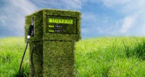 Dal Gse via libera al primo impianto agricolo per la produzione di biometano