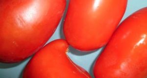 Monterotondo M.mo: Quando la geotermia aiuta lo sviluppo: dal “vapore” nasceranno i pomodori