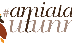 AmiatAutunno: I principali appuntamenti dell’Autunno Amiatino